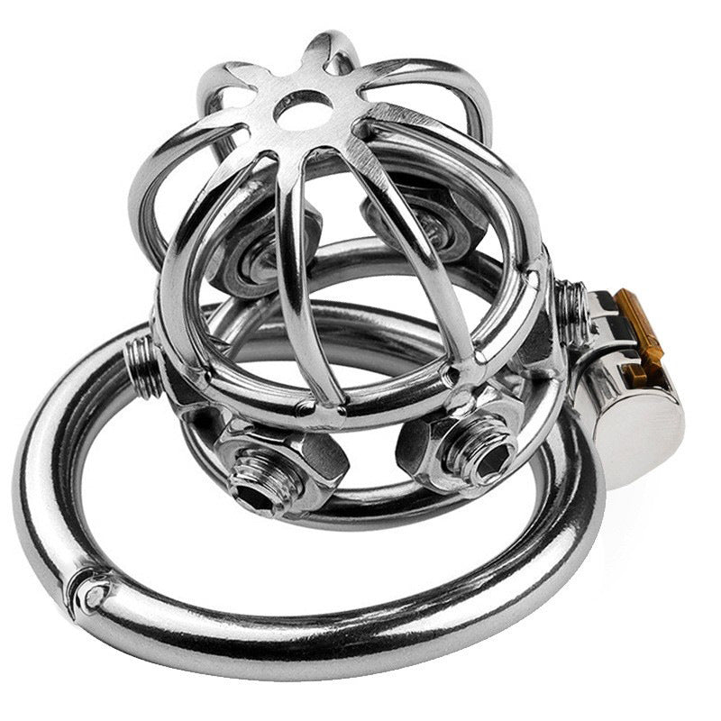 Men's SM Spiked Chastity Device Adjustable Metal Cock Cage Adult Bondage Toy with Removable Nipple Spikes Penis Lock