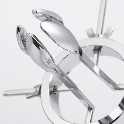 Metal Anal Expander for Men and Women SM Play Advanced Stainless Steel Butt Plug Kit with Vaginal Speculum Adult Sensual Toys